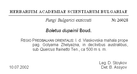 Herbarium label Herbarium label