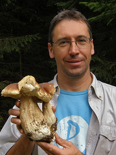 Collecting boletes
